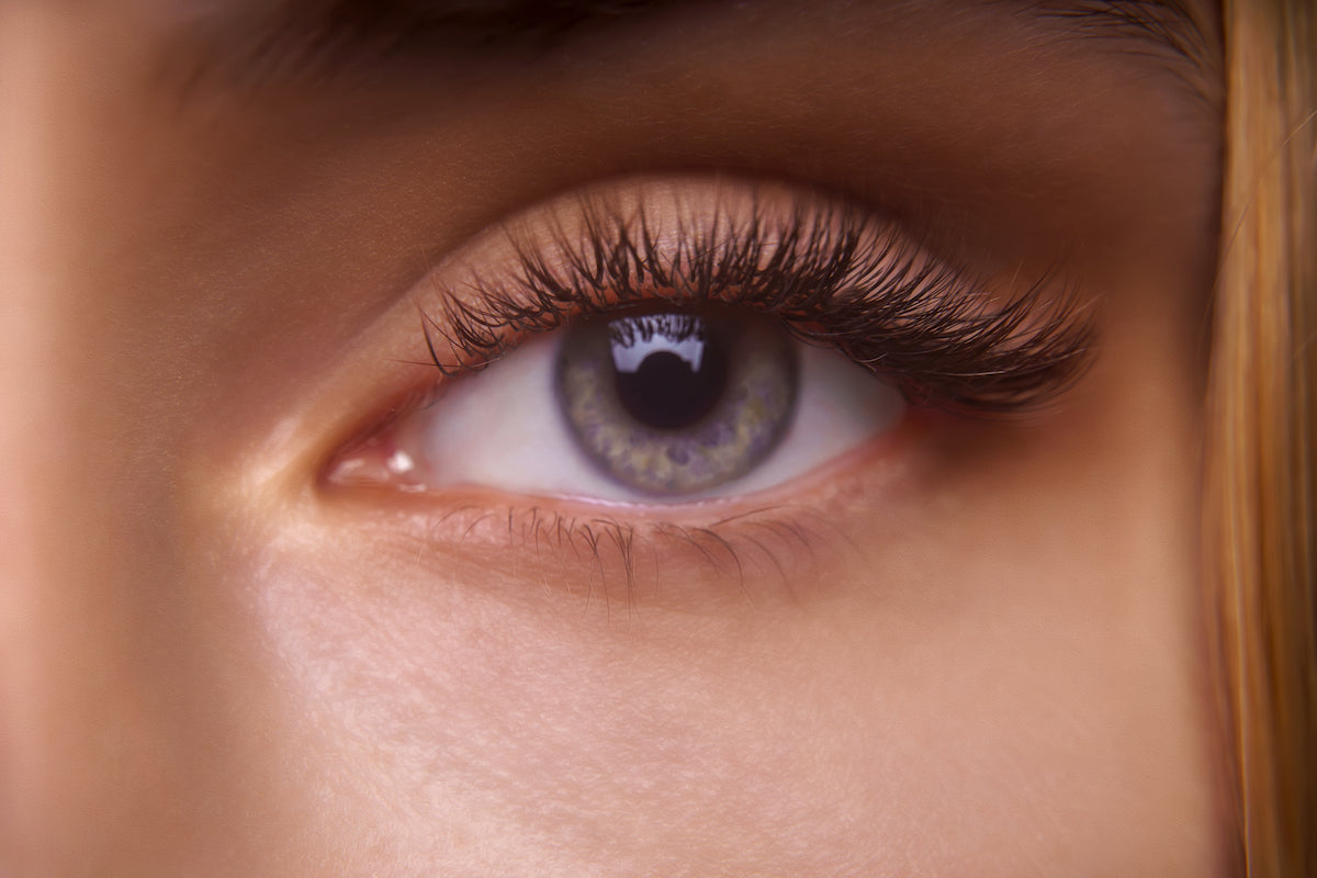 Lash Care