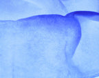 iS Clinical Peel Pads