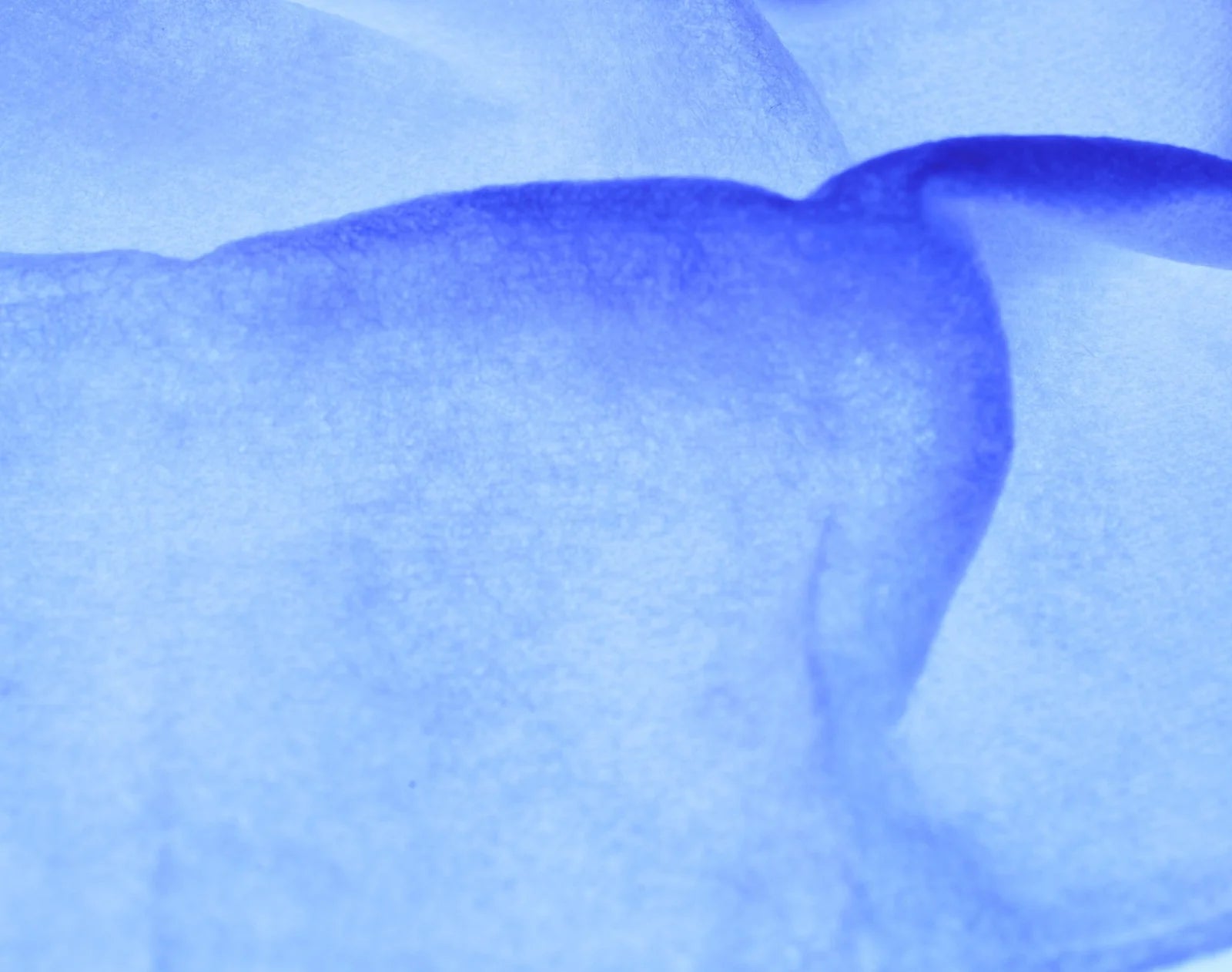 iS Clinical Peel Pads